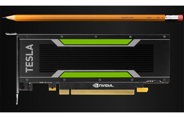 NVIDIA TESLA P4